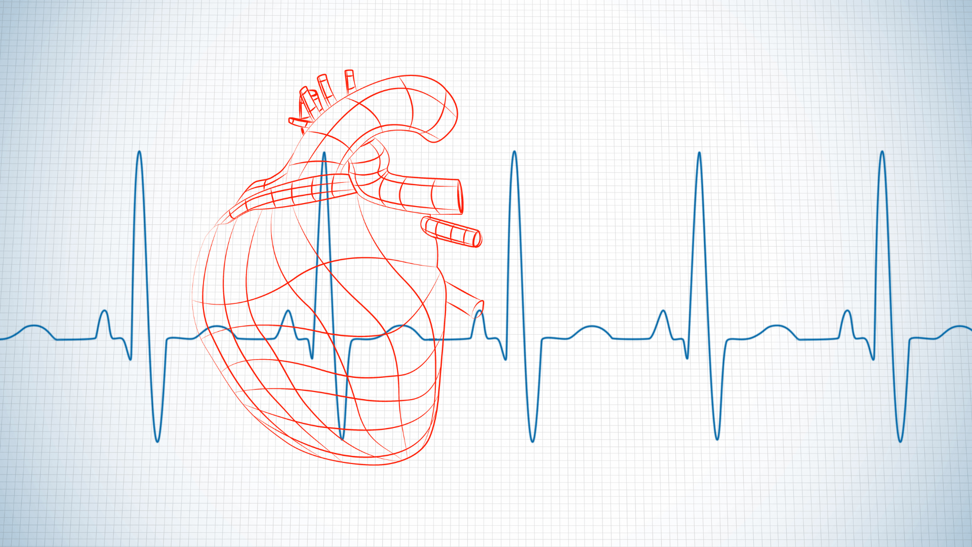 Understanding Heart Rate Variability: A Simple Guide to Your Heart Health