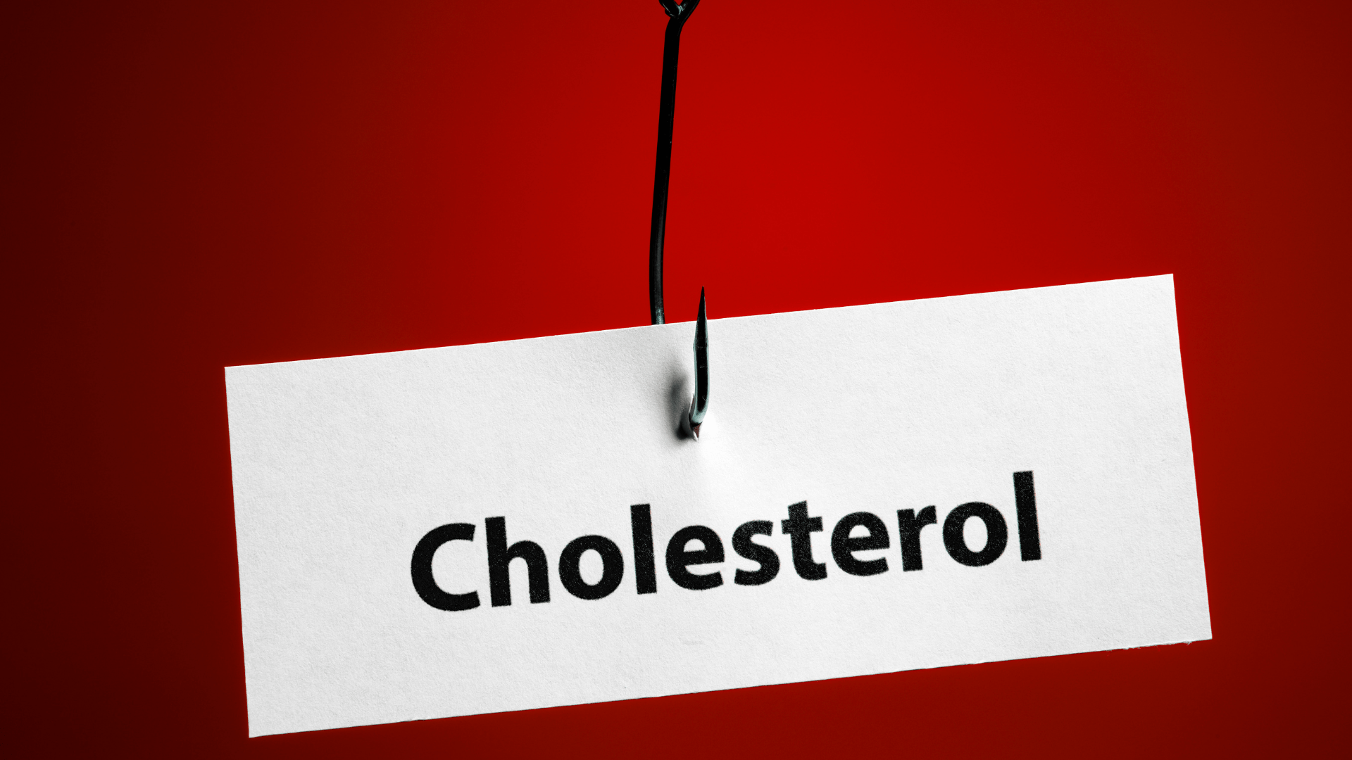 Cholesterol Decoded