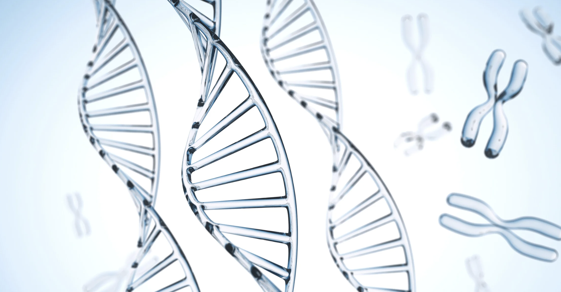 Why Your Body Rebels Against “Healthy” Foods (It’s in Your DNA)